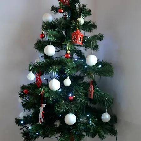 Privat bolig Florynka Biały Dunajec