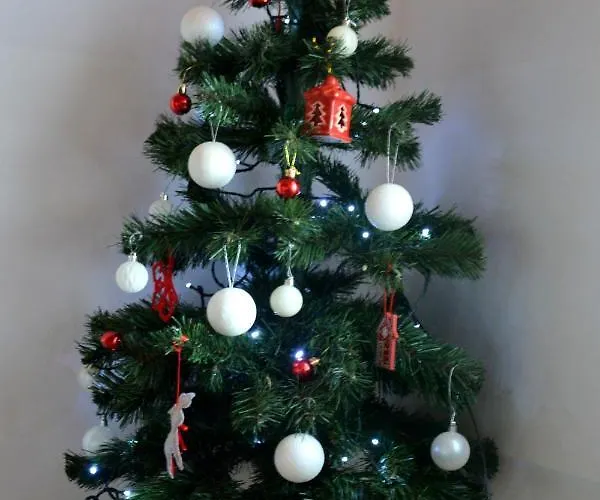 Δωμάτια σε οικογενειακή κατοικία Florynka Biały Dunajec